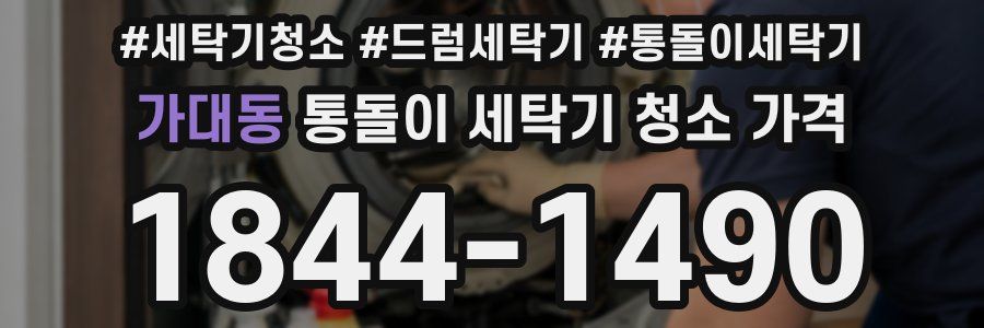 가대동 통돌이 세탁기 청소 가격