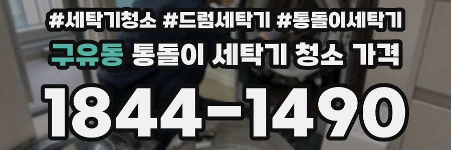구유동 통돌이 세탁기 청소 가격