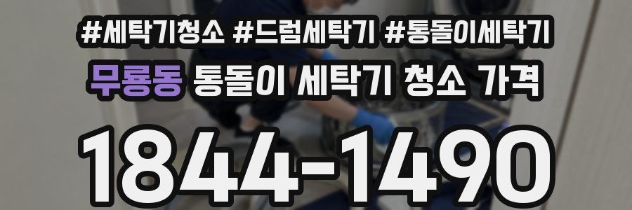 무룡동 통돌이 세탁기 청소 가격