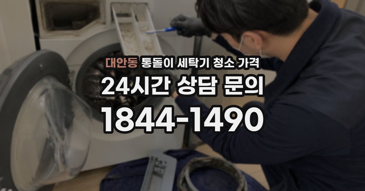대안동 통돌이 세탁기 청소 가격