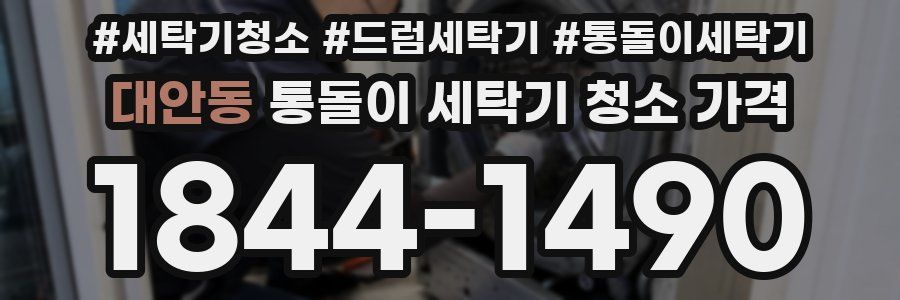 대안동 통돌이 세탁기 청소 가격