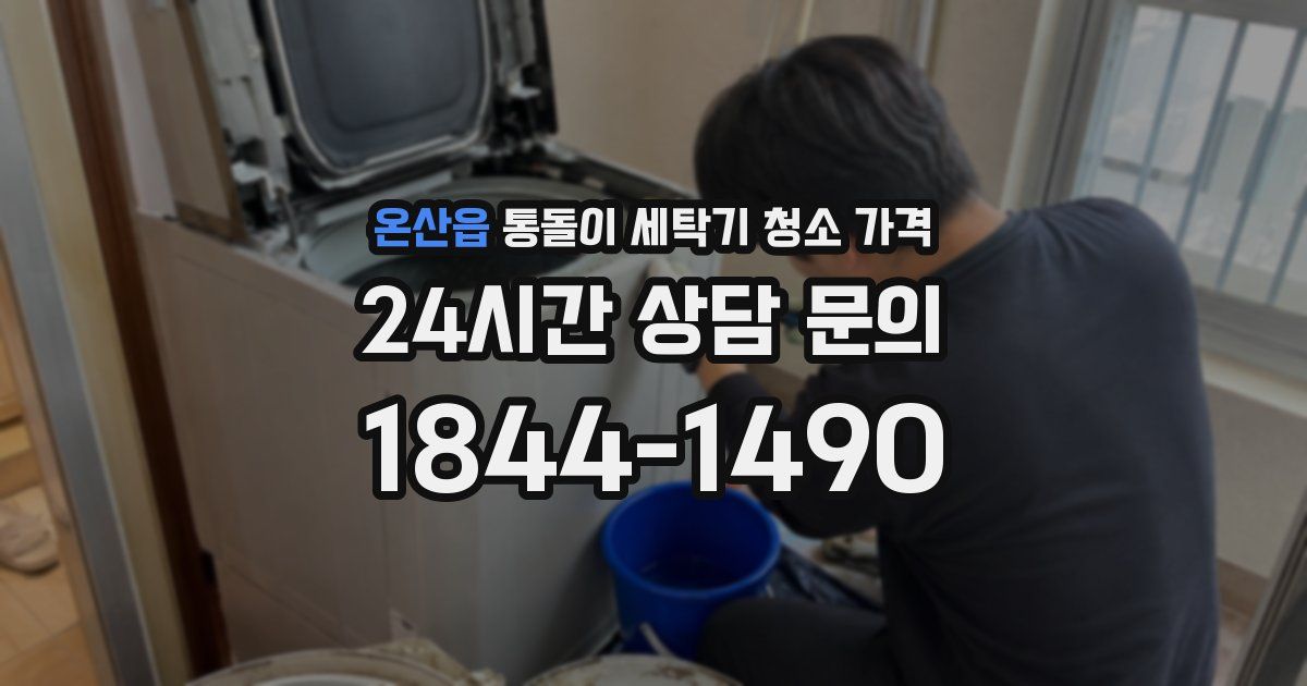 온산읍 통돌이 세탁기 청소 가격