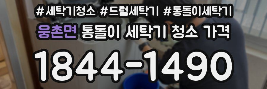 웅촌면 통돌이 세탁기 청소 가격