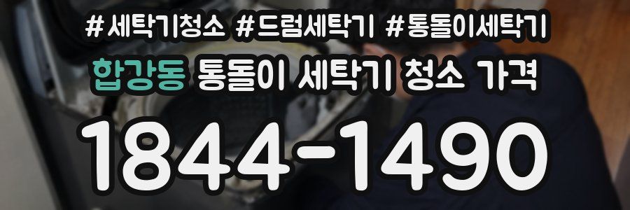 합강동 통돌이 세탁기 청소 가격