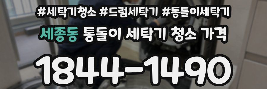 세종동 통돌이 세탁기 청소 가격