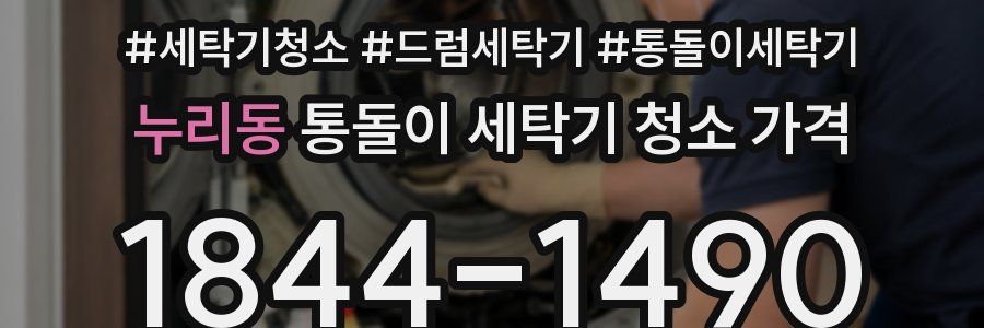 누리동 통돌이 세탁기 청소 가격
