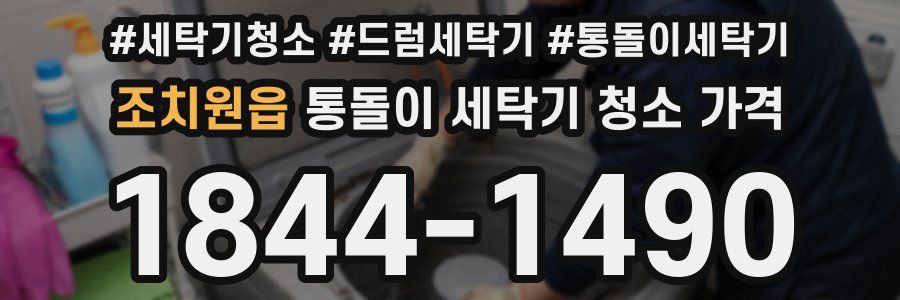 조치원읍 통돌이 세탁기 청소 가격