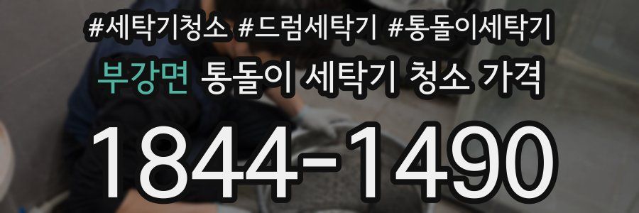 부강면 통돌이 세탁기 청소 가격