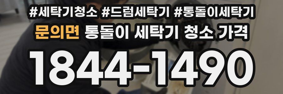문의면 통돌이 세탁기 청소 가격