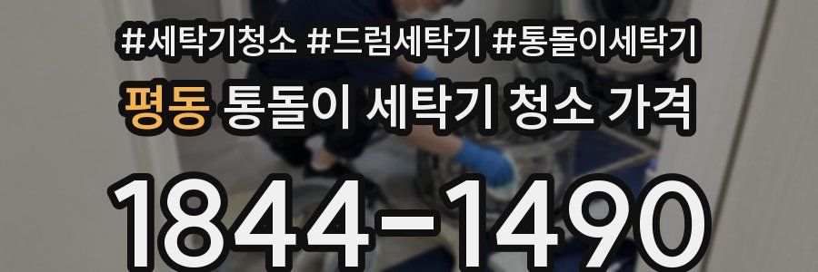 평동 통돌이 세탁기 청소 가격