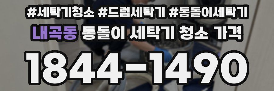 내곡동 통돌이 세탁기 청소 가격