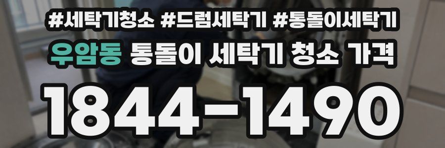 우암동 통돌이 세탁기 청소 가격