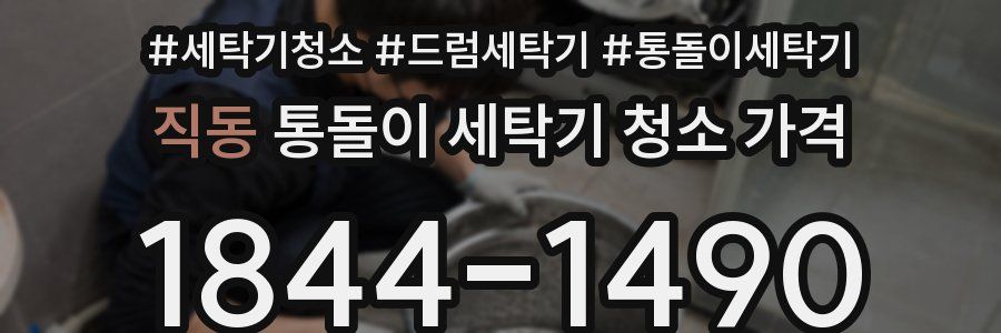 직동 통돌이 세탁기 청소 가격