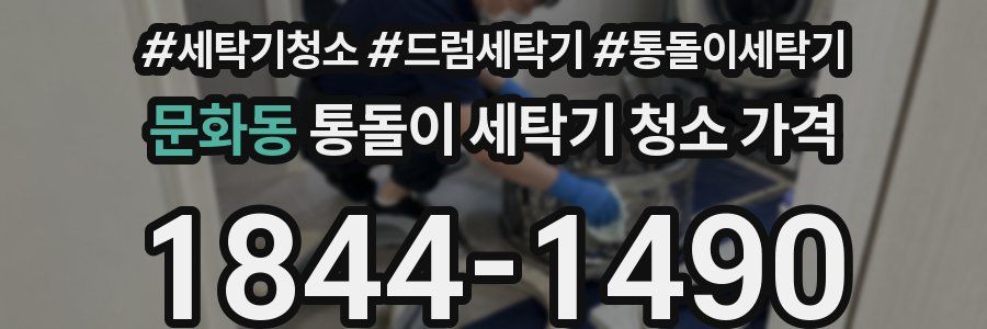 문화동 통돌이 세탁기 청소 가격