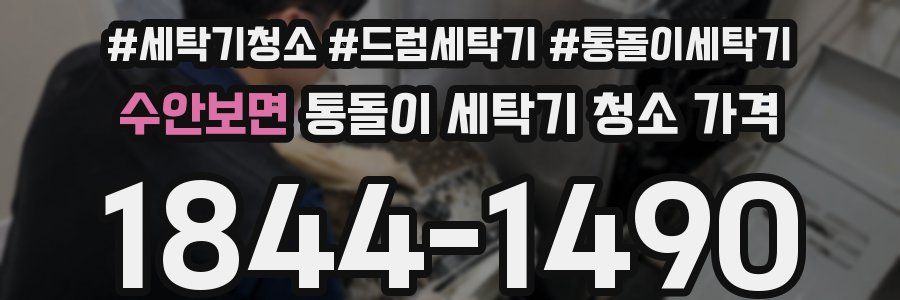 수안보면 통돌이 세탁기 청소 가격