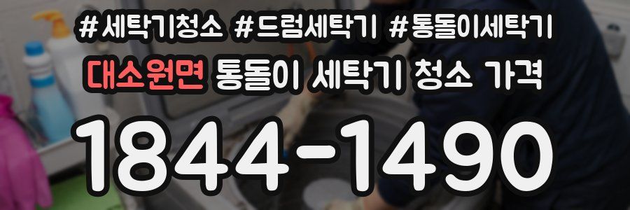대소원면 통돌이 세탁기 청소 가격