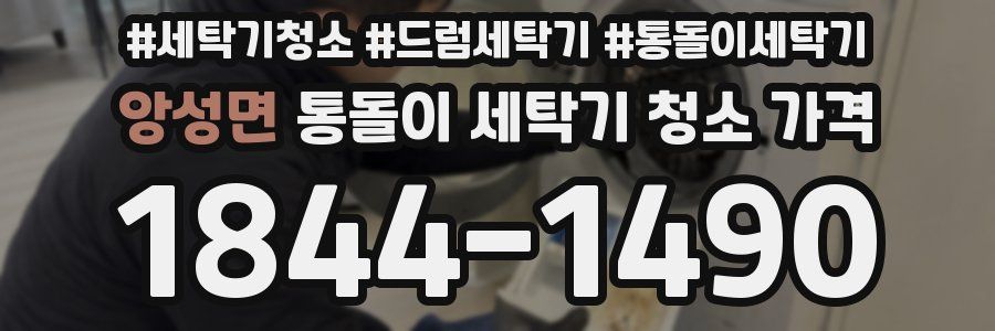 앙성면 통돌이 세탁기 청소 가격