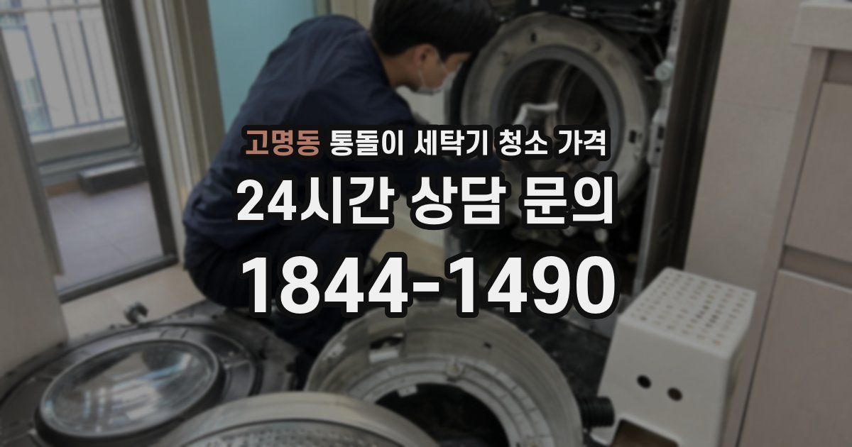 고명동 통돌이 세탁기 청소 가격