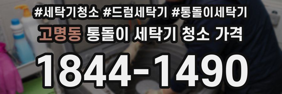 고명동 통돌이 세탁기 청소 가격