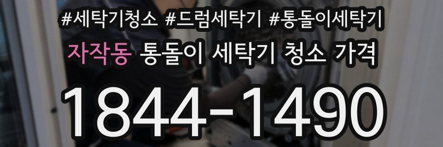 자작동 통돌이 세탁기 청소 가격