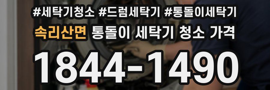 속리산면 통돌이 세탁기 청소 가격