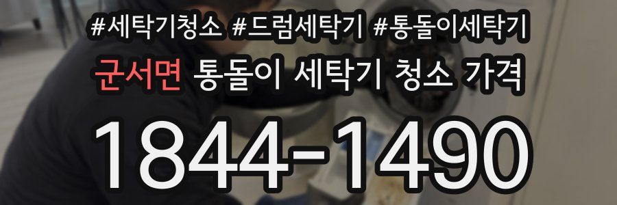 군서면 통돌이 세탁기 청소 가격