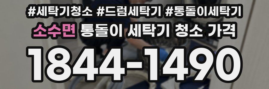 소수면 통돌이 세탁기 청소 가격