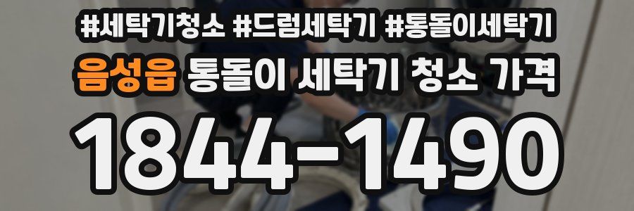음성읍 통돌이 세탁기 청소 가격