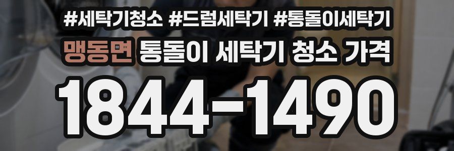 맹동면 통돌이 세탁기 청소 가격