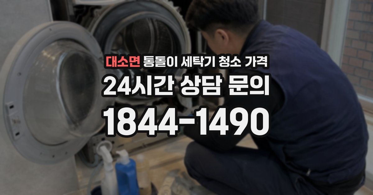 대소면 통돌이 세탁기 청소 가격