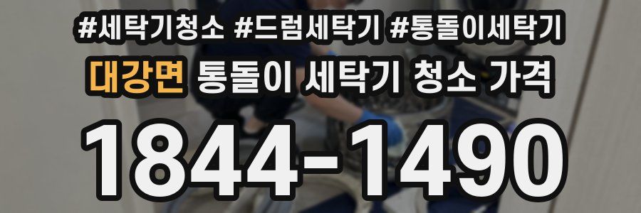 대강면 통돌이 세탁기 청소 가격