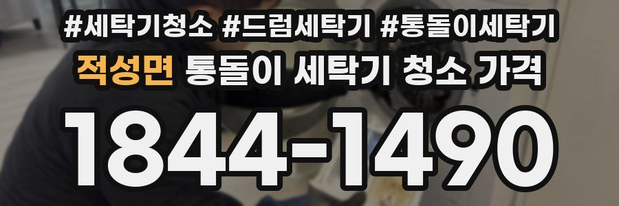 적성면 통돌이 세탁기 청소 가격