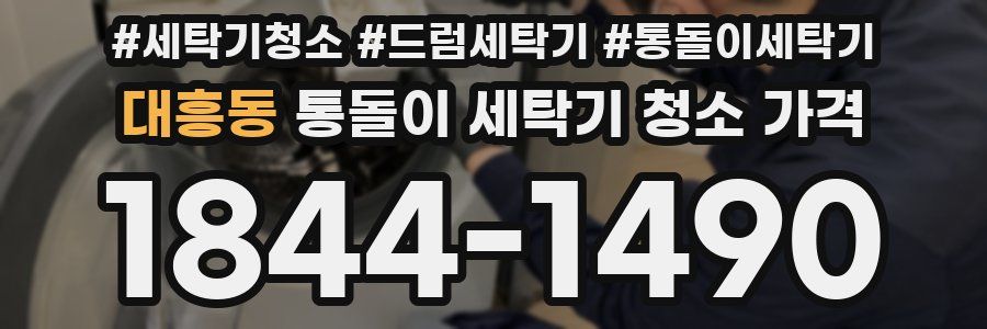 대흥동 통돌이 세탁기 청소 가격