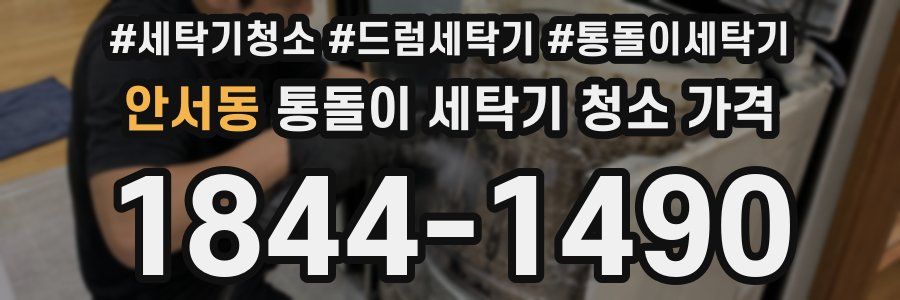 안서동 통돌이 세탁기 청소 가격