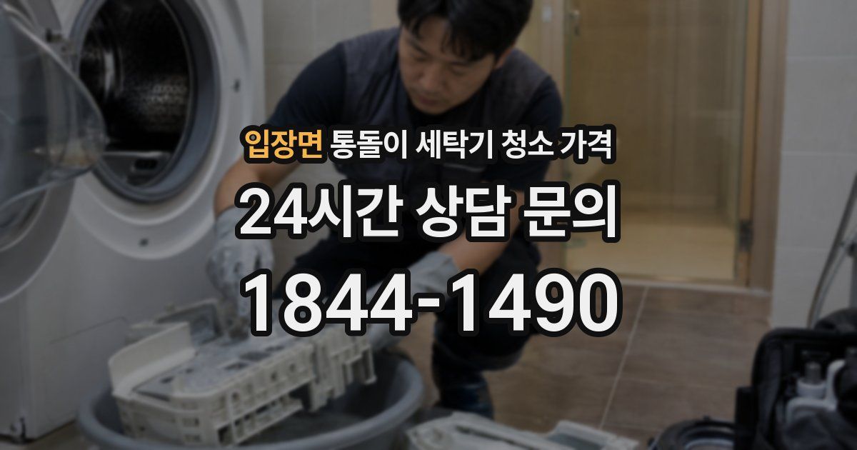 입장면 통돌이 세탁기 청소 가격