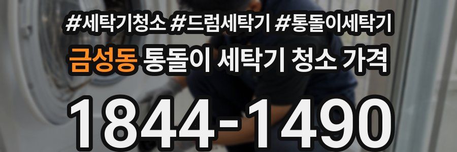 금성동 통돌이 세탁기 청소 가격
