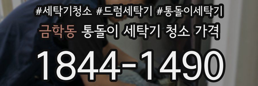 금학동 통돌이 세탁기 청소 가격