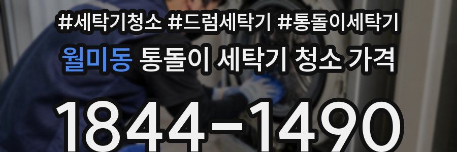 월미동 통돌이 세탁기 청소 가격