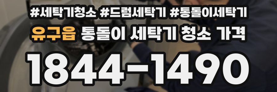 유구읍 통돌이 세탁기 청소 가격