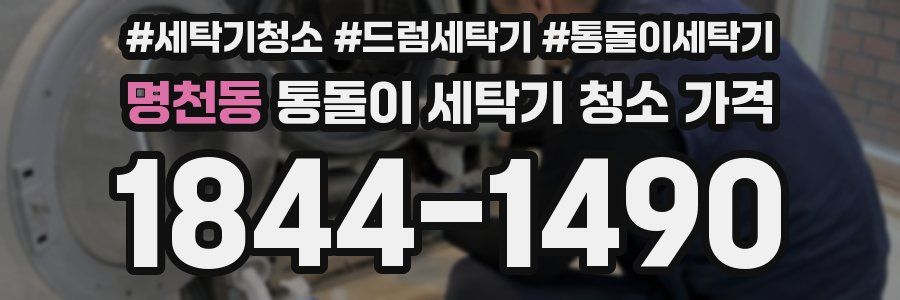 명천동 통돌이 세탁기 청소 가격