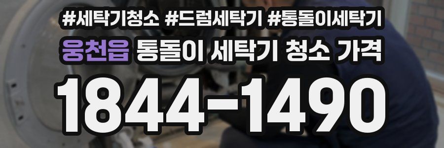 웅천읍 통돌이 세탁기 청소 가격
