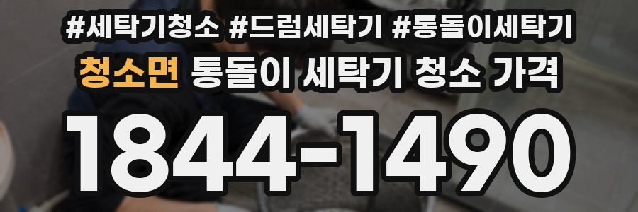 청소면 통돌이 세탁기 청소 가격