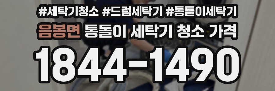 음봉면 통돌이 세탁기 청소 가격