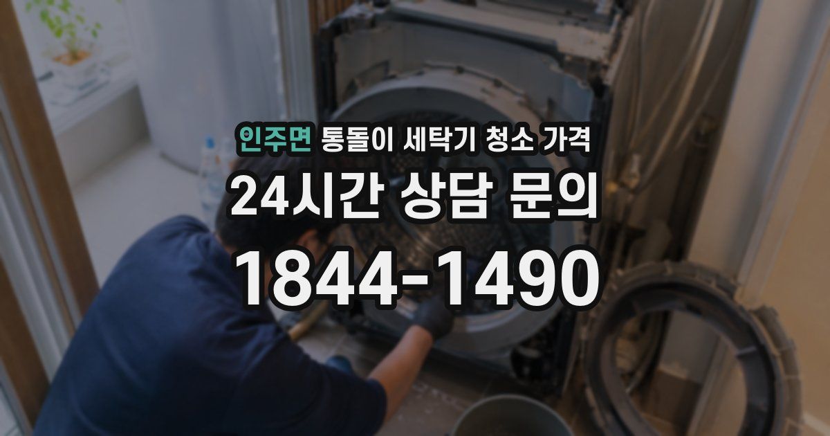 인주면 통돌이 세탁기 청소 가격
