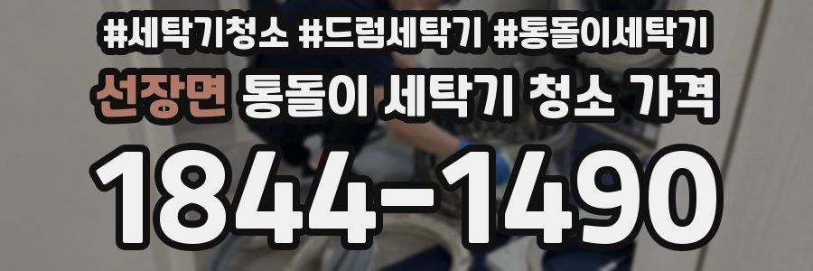 선장면 통돌이 세탁기 청소 가격
