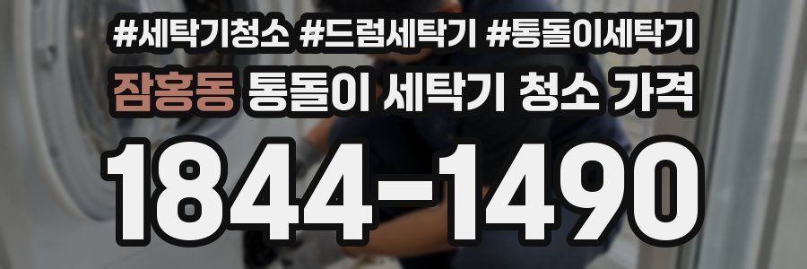 잠홍동 통돌이 세탁기 청소 가격