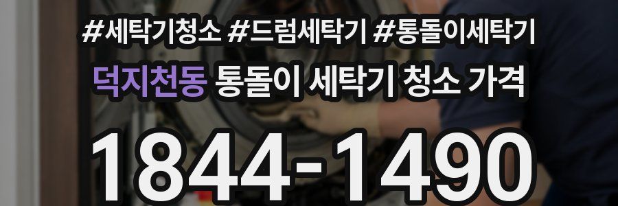 덕지천동 통돌이 세탁기 청소 가격