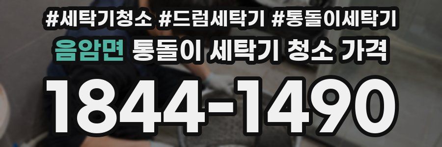 음암면 통돌이 세탁기 청소 가격