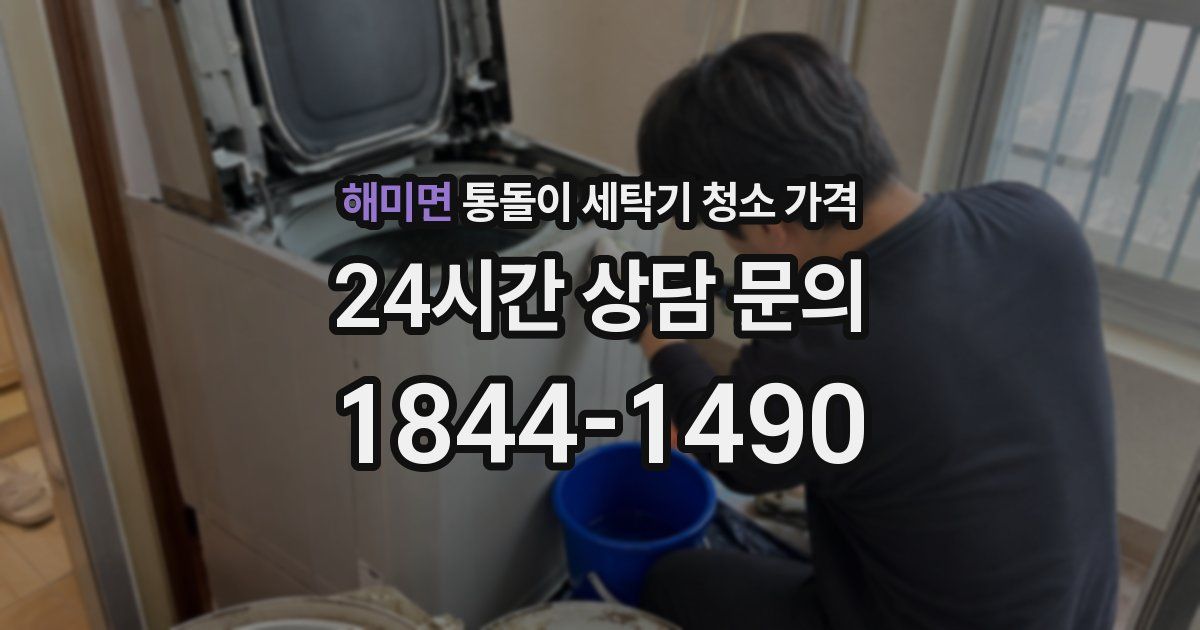 해미면 통돌이 세탁기 청소 가격