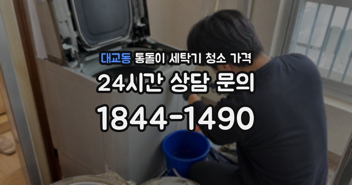 대교동 통돌이 세탁기 청소 가격